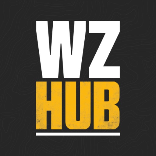 Warzone Meta