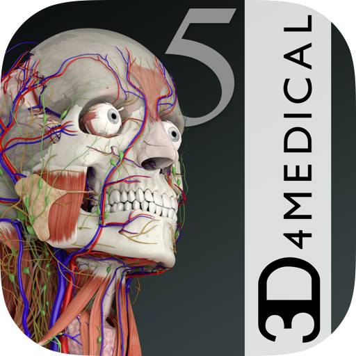 Ess. Anatomy 5